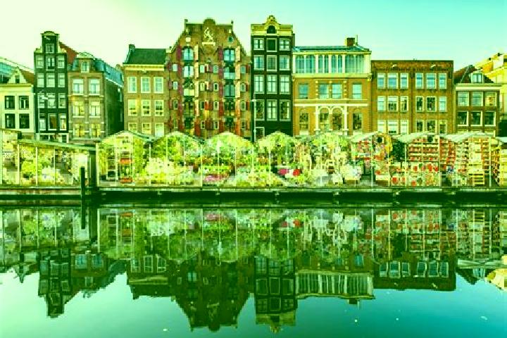 Escorts Oost, Netherlands — Local Companions
