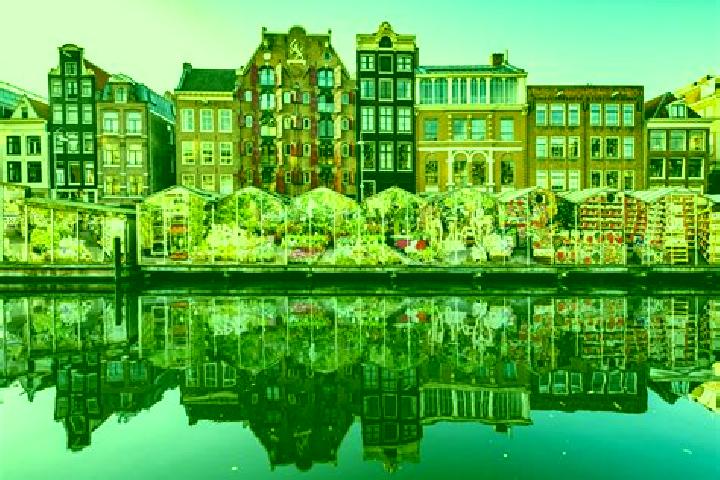 Escorts Oostdijk, Netherlands — Local Companions