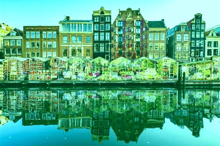 Escorts Ophemert, Netherlands — Local Companions