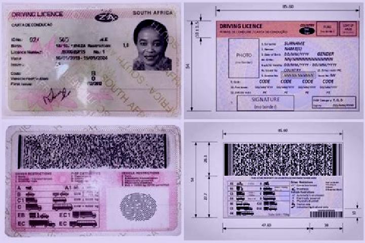 Escorts Orinoco B, South Africa — Local Companions