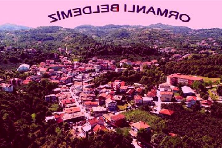 Escorts Ormanli, Turkey — Local Companions
