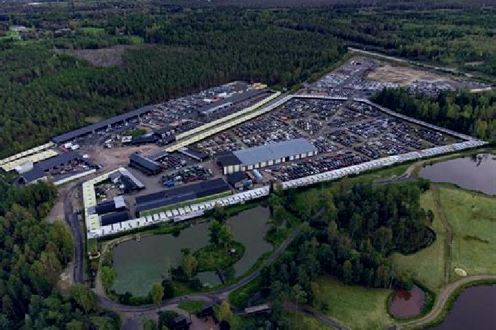 Escorts Osby, Sweden — Local Companions