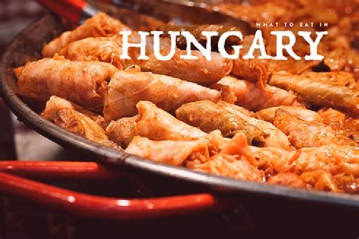 Escorts Osi, Hungary — Local Companions