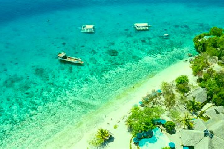Escorts Oslob, Philippines — Local Companions