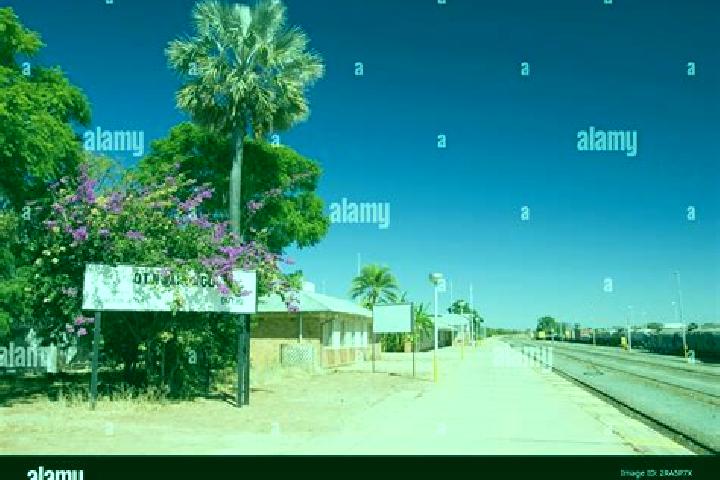Escorts Otjiwarongo, Namibia — Local Companions