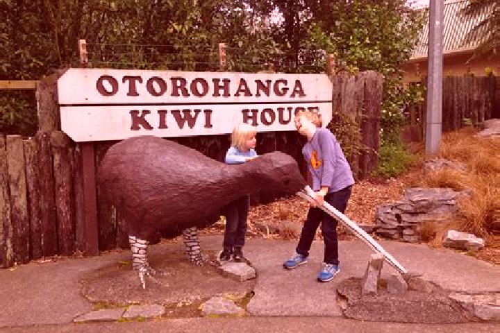Escorts Otorohanga, New Zealand — Local Companions