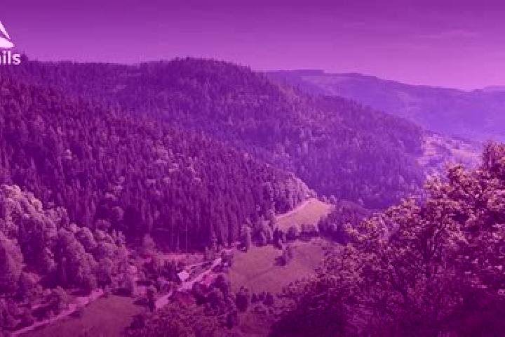 Escorts Ottenhofen im Schwarzwald, Germany — Local Companions