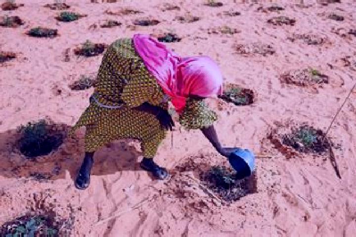 Escorts Ouallam, Niger — Local Companions