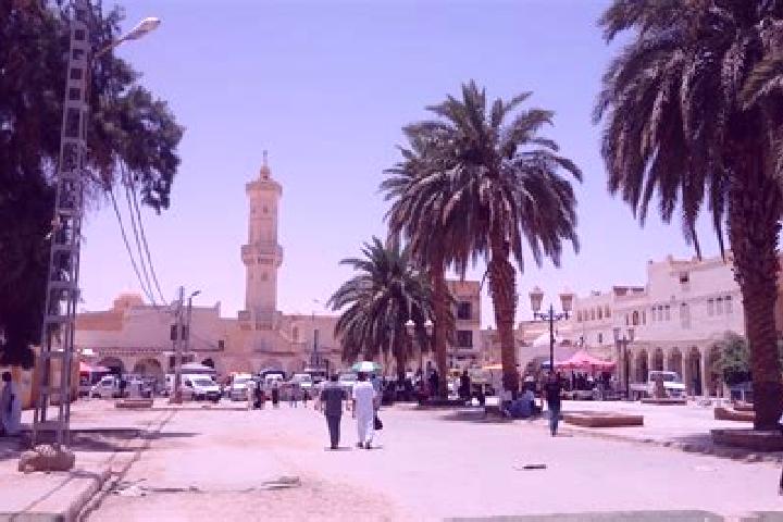 Escorts Ouargla, Algeria — Local Companions