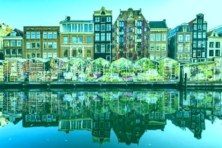 Escorts Oudehaske, Netherlands — Local Companions