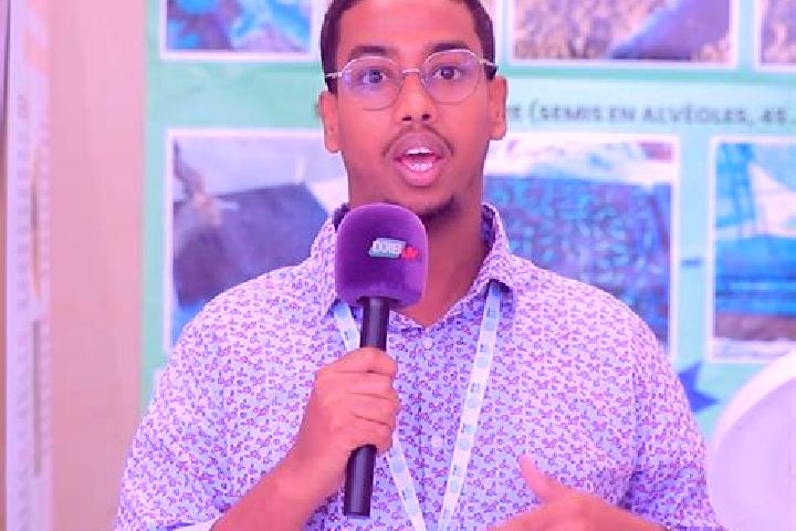 Escorts Oue a, Djibouti — Local Companions