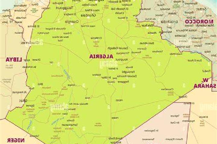 Escorts Ouenza, Algeria — Local Companions