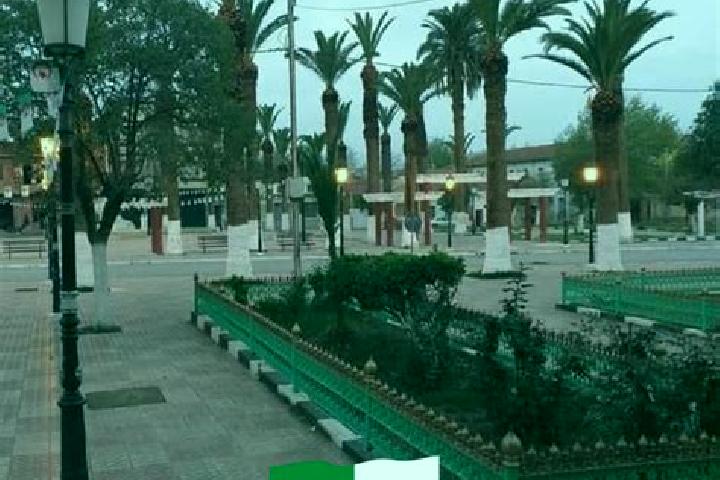 Escorts Ouled Mimoun, Algeria — Local Companions