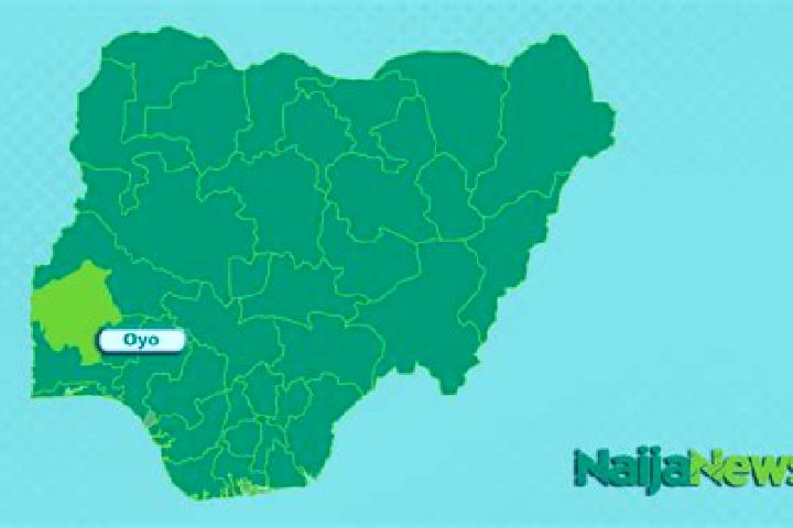 Escorts Oyo, Nigeria — Local Companions
