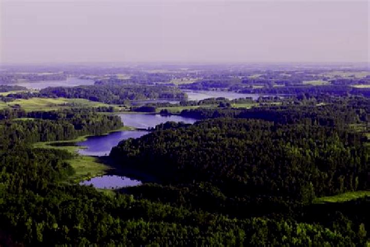 Escorts Pabrade, Lithuania — Local Companions
