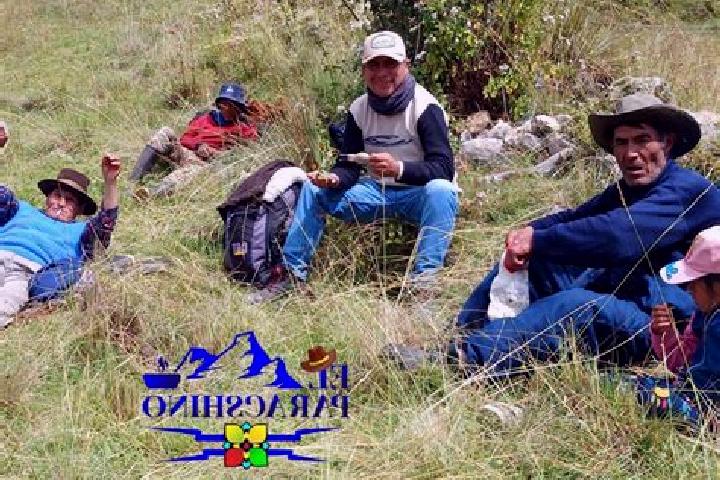 Escorts Pachas, Peru — Local Companions