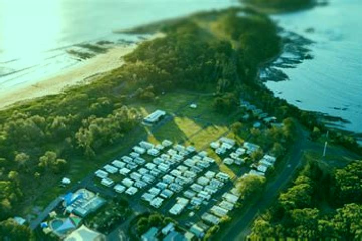 Escorts Pacific Haven, Australia — Local Companions