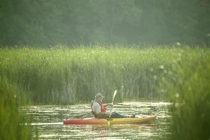 Escorts Paddle Prairie, Canada — Local Companions