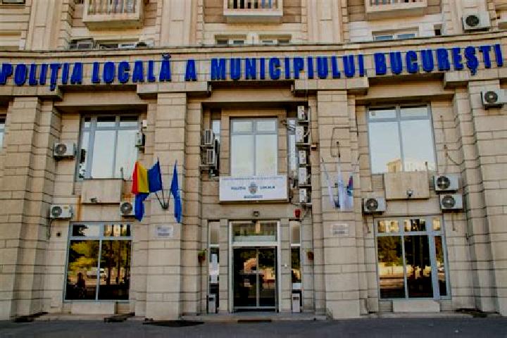 Escorts Padina Matei, Romania — Local Companions