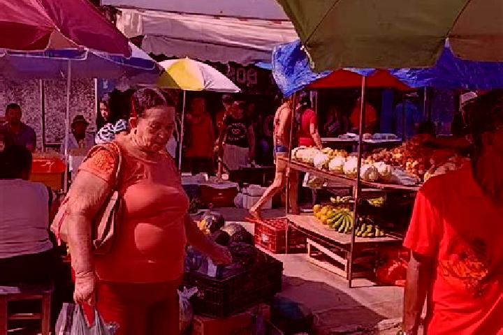 Escorts Padre Paraiso, Brazil — Local Companions