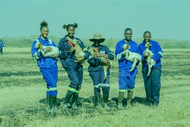 Escorts Palabana, Zambia — Local Companions