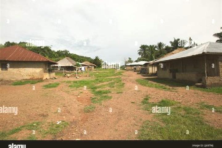 Escorts Palima, Sierra Leone — Local Companions