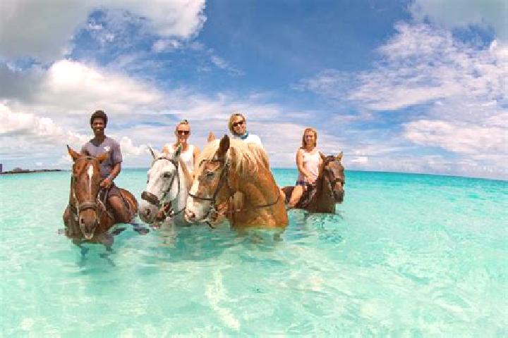 Escorts Palm Grove, Turks and Caicos Islands — Local Companions