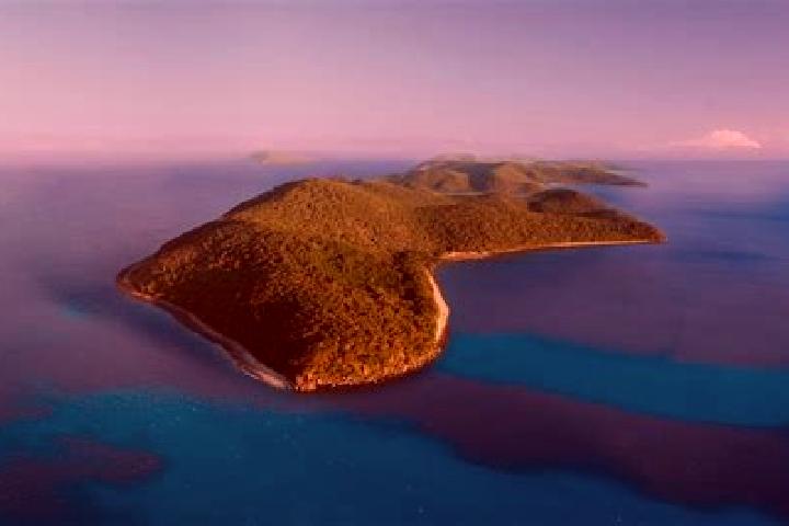 Escorts Palm Island, Australia — Local Companions