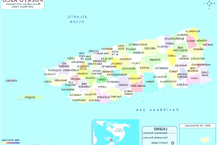 Escorts Palmarejo, Puerto Rico — Local Companions