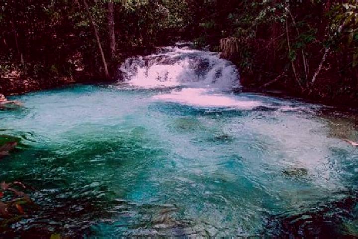 Escorts Palmeiras do Tocantins, Brazil — Local Companions