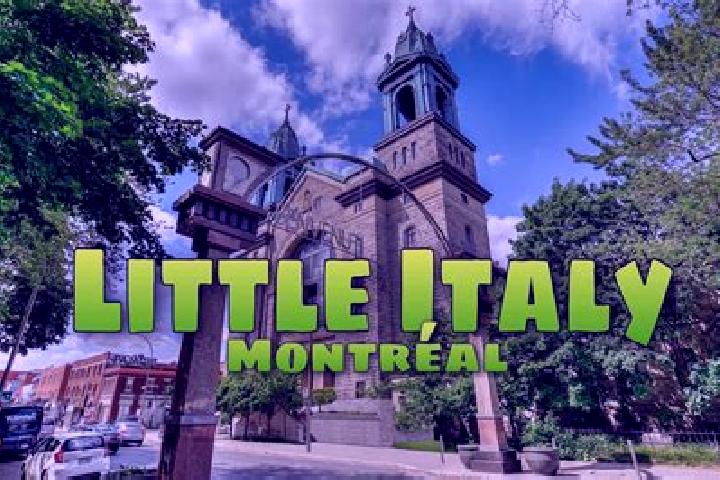 Escorts Palmerston-Little Italy, Canada — Local Companions