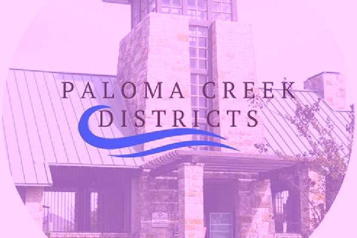 Escorts Paloma Creek, United States — Local Companions