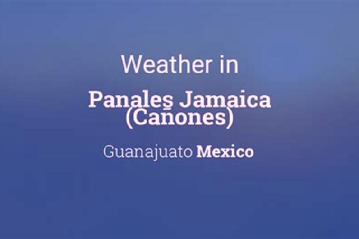 Escorts Panales Jamaica (Canones), Mexico — Local Companions