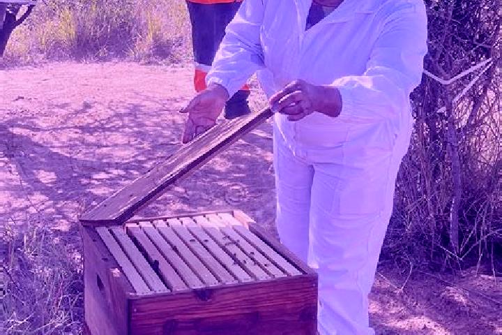 Escorts Pandamatenga, Botswana — Local Companions