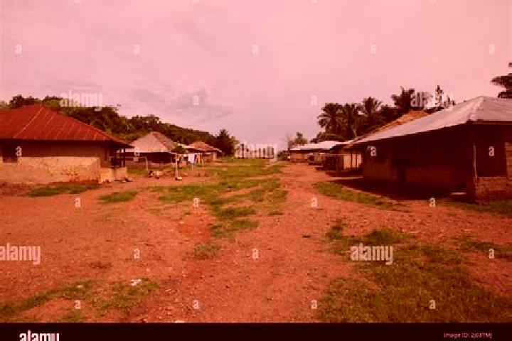 Escorts Panguma, Sierra Leone — Local Companions