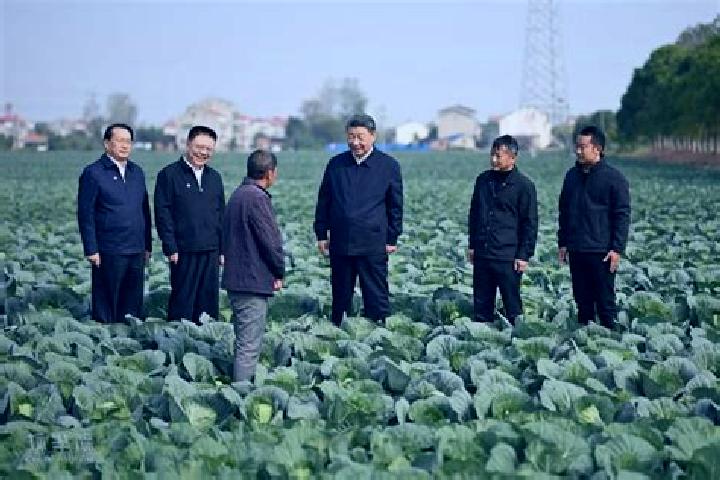 Escorts Panjiawan, China — Local Companions