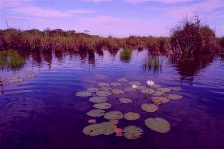 Escorts Pantanal, Mexico — Local Companions