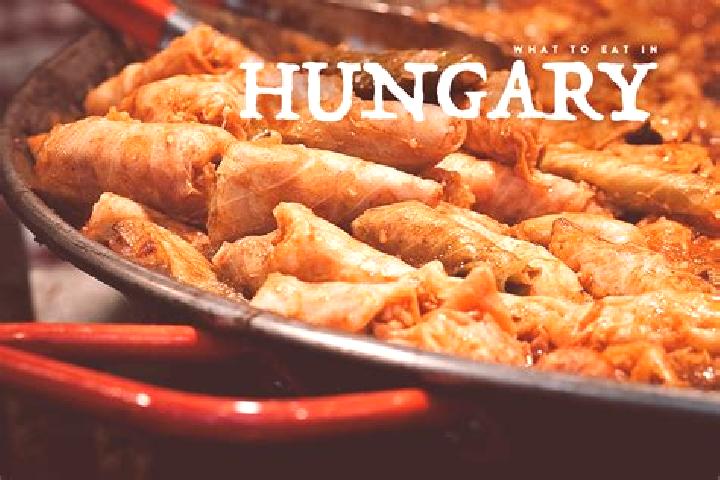Escorts Pap, Hungary — Local Companions