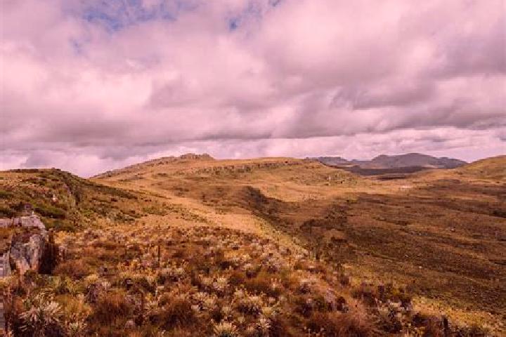 Escorts Paramo, Colombia — Local Companions