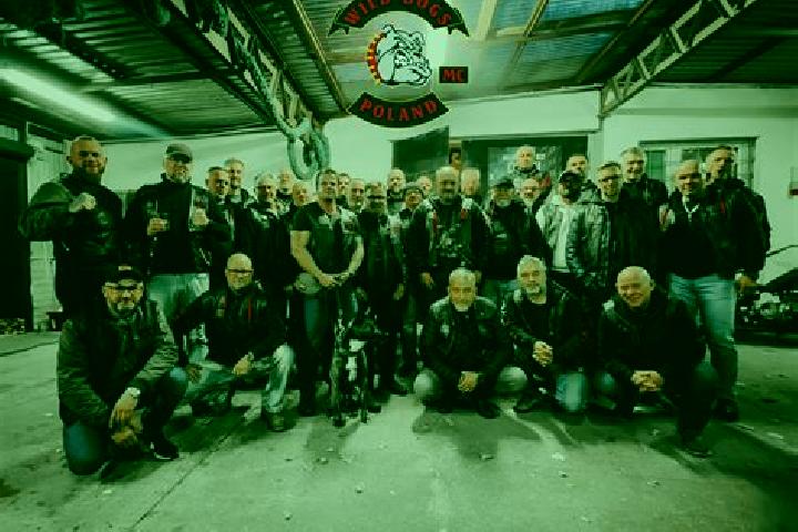 Escorts Parczew, Poland — Local Companions