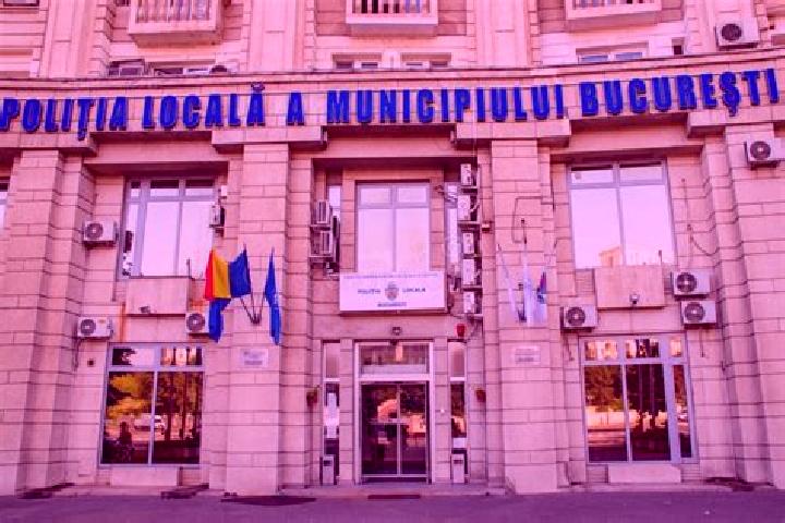 Escorts Parva, Romania — Local Companions