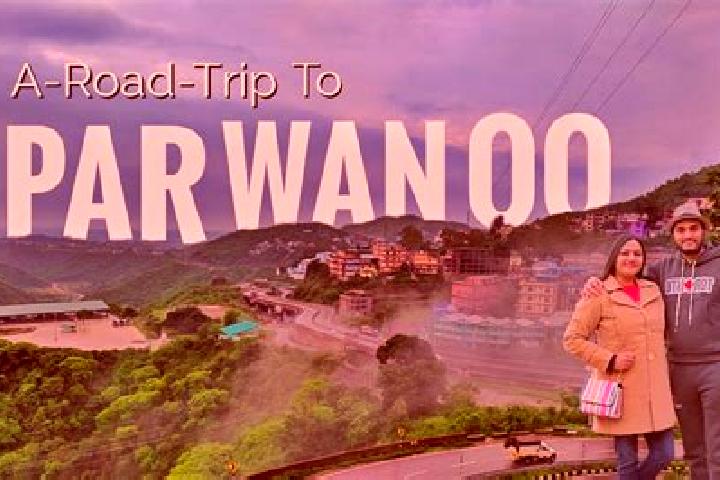 Escorts Parwanoo, India — Local Companions