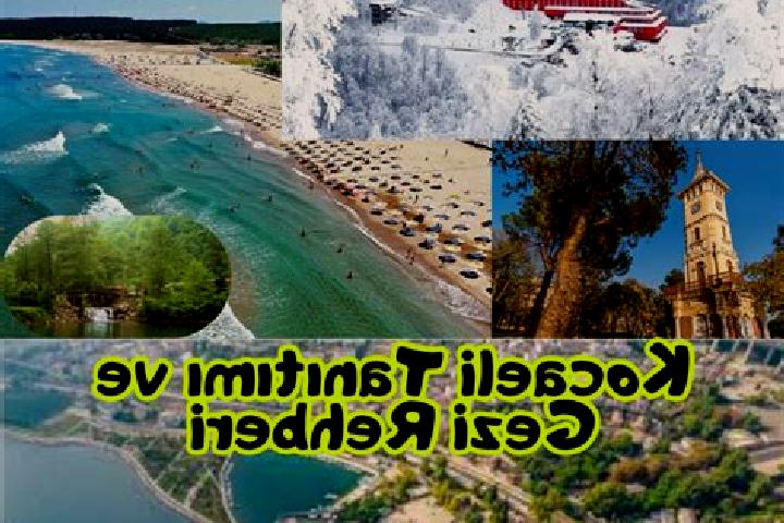Escorts Pasinler, Turkey — Local Companions
