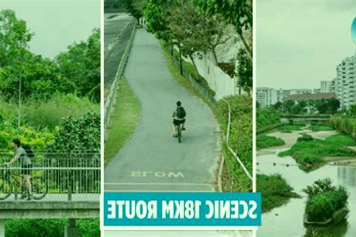 Escorts Pasir Panjang, Malaysia — Local Companions