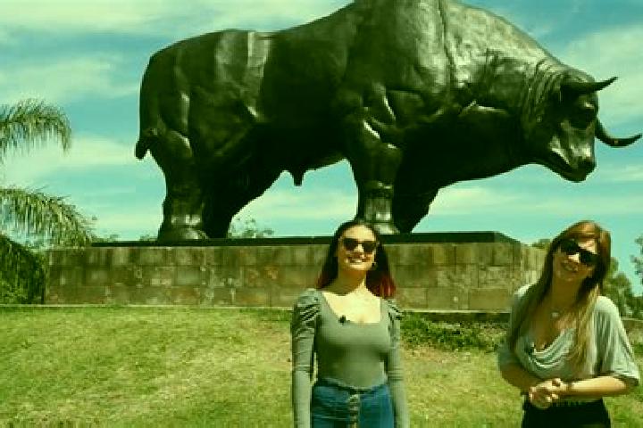 Escorts Paso de los Toros, Uruguay — Local Companions