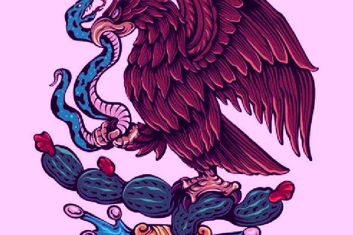 Escorts Paso del Aguila, Mexico — Local Companions