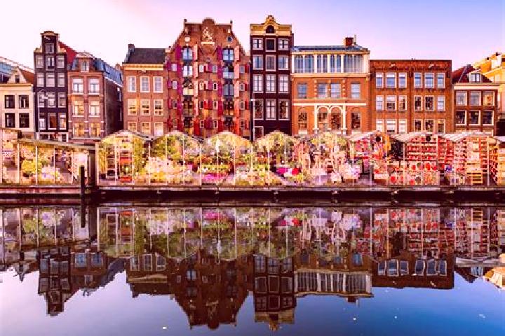 Escorts Passart, Netherlands — Local Companions