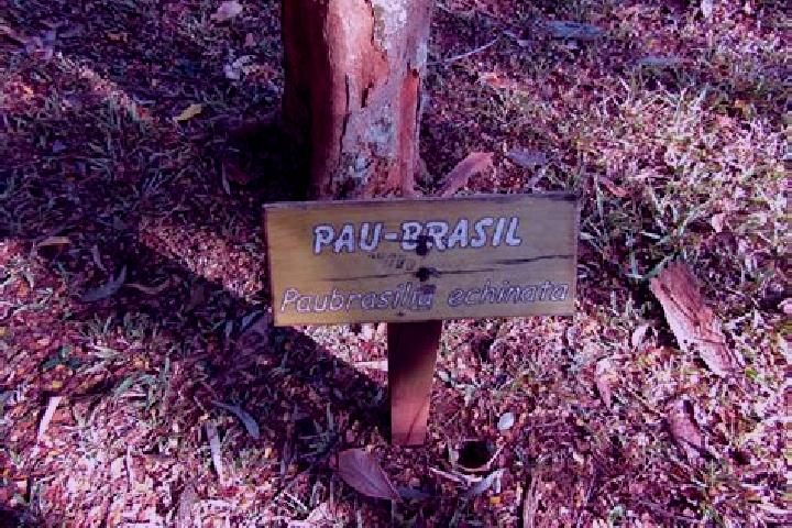 Escorts Patu, Brazil — Local Companions