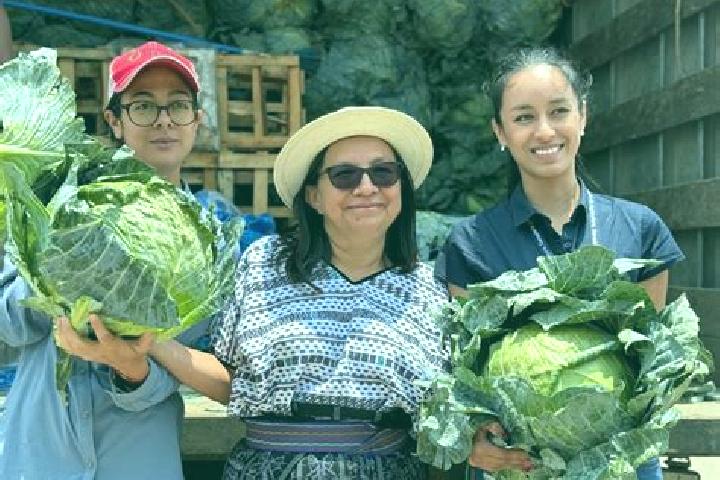 Escorts Patzicia, Guatemala — Local Companions