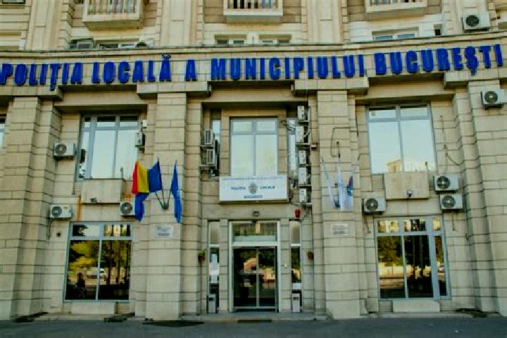 Escorts Paulis, Romania — Local Companions